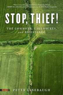 9781604867473-1604867477-Stop, Thief!: The Commons, Enclosures, and Resistance (Spectre)