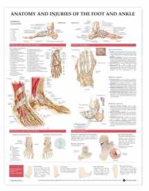 9781587798375-1587798379-Anatomy and Injuries of the Foot and Ankle