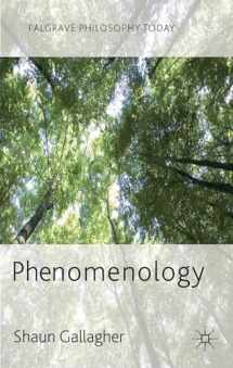 9780230272484-0230272487-Phenomenology (Palgrave Philosophy Today)