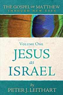 9780986292453-0986292451-The Gospel of Matthew Through New Eyes Volume One: Jesus as Israel