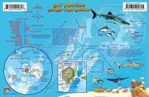 9781601904805-1601904800-Dry Tortugas Florida Dive Map & Coral Reef Creatures Guide Franko Maps Laminated Fish Card