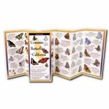 9781621262299-1621262294-Common Butterflies of California (Foldingguides)