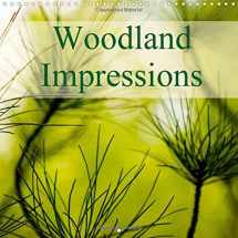 9781325112173-1325112178-Woodland Impressions 2016: A series of colourful images depicting Pine needles and other woodland foliage. (Calvendo Nature)