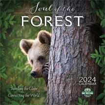9781631369940-1631369946-The Soul of the Forest 2024 Wall Calendar: Traveling the Globe, Connecting the World | 12" x 24" Open | Amber Lotus Publishing
