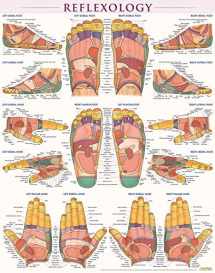9781423223078-1423223071-Reflexology Poster (22 x 28 inches) - Laminated: a QuickStudy Anatomy Reference