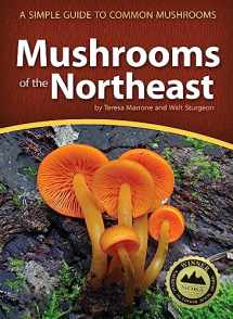 9781591935919-1591935911-Mushrooms of the Northeast: A Simple Guide to Common Mushrooms (Mushroom Guides)