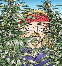 9781449472245-1449472249-The Weed Whisperer: A Doonesbury Book (Volume 36)