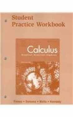 Calculus: Graphical, Numerical, Algebraic - Student Practice Workbook