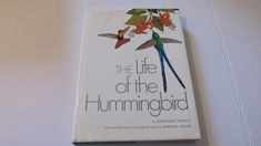 The Life of The Hummingbird