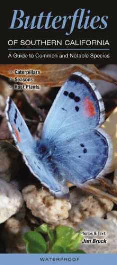Butterflies of Southern California: A Guide to Common & Notable Species (Quick Reference Guides)