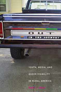Out in the Country: Youth, Media, and Queer Visibility in Rural America (Intersections, 2)