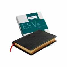 ESV Pitt Minion Reference Bible, Black Goatskin Leather, Red-letter Text, ES446:XR