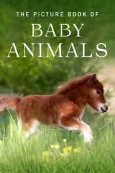 The Picture Book of Baby Animals: A Gift Book for Alzheimer's Patients and Seniors with Dementia (Picture Books - Animals)
