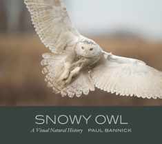Snowy Owl: A Visual Natural History