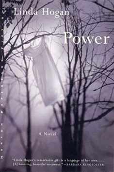 Power: A Novel (Norton Paperback Fiction)