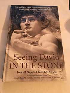 Seeing David in the Stone