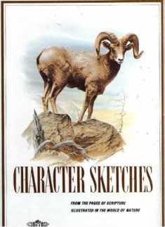 Character Sketches: From the Pages of Scripture, Illustrated in the World of Nature, Vol. 2 .com