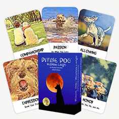 Divine Dog Wisdom Cards