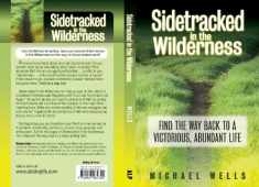 Sidetracked in the Wilderness: Find the Way Back to a Victorious, Abundant Life