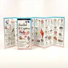 Sanibel & Captiva Shells and Beach Life (Foldingguides)