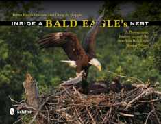 Inside a Bald Eagle's Nest: A Photographic Journey Through the American Bald Eagle Nesting Season