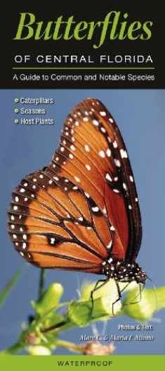 Butterflies of Central Florida: A Guide to Common & Notable Species