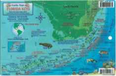 Florida Keys Dive Map & Reef Creatures Guide Franko Maps Laminated Fish Card
