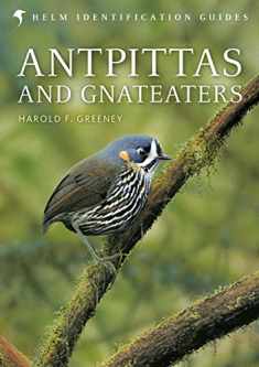 Antpittas and Gnateaters (Helm Identification Guides)