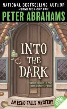 Into the Dark (Echo Falls Mystery, 3)