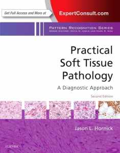 Practical Soft Tissue Pathology: A Diagnostic Approach: A Volume in the Pattern Recognition Series