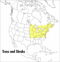 A Peterson Field Guide To Trees And Shrubs: Northeastern and north-central United States and southeastern and south-centralCanada (Peterson Field Guides)