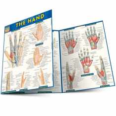 The Hand (Quick Study Academic)
