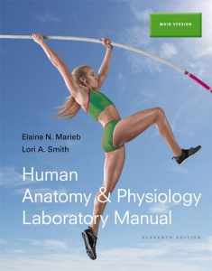 Human Anatomy & Physiology Laboratory Manual, Main Version (11th Edition)