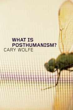 What Is Posthumanism? (Volume 8) (Posthumanities)