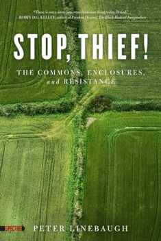 Stop, Thief!: The Commons, Enclosures, and Resistance (Spectre)