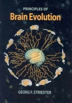 Principles of Brain Evolution
