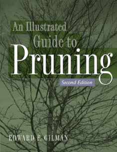 Illustrated Guide to Pruning