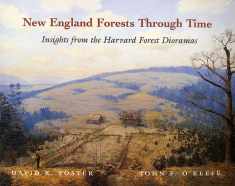 New England Forests Through Time : Insights from the Harvard Forest Dioramas