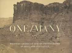 One/Many: Western American Survey Photographs by Bell and O'Sullivan