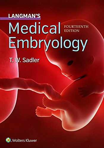 Download Sell, Buy or Rent Langman's Medical Embryology ...