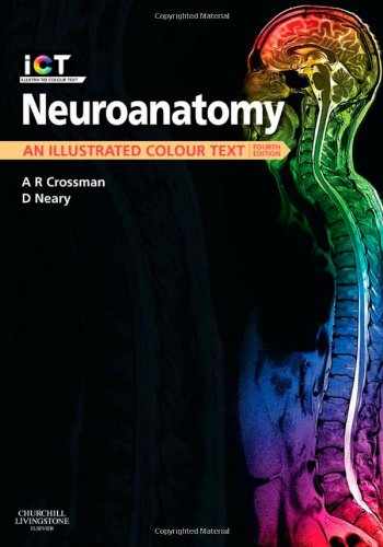 neuroanatomy an illustrated colour text 6th edition pdf download