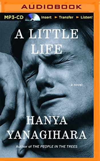 a little life paperback