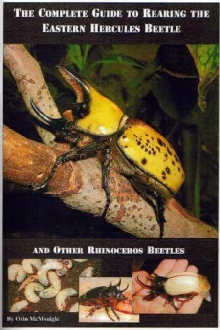 Rhinoceros Beetles  National Wildlife Federation
